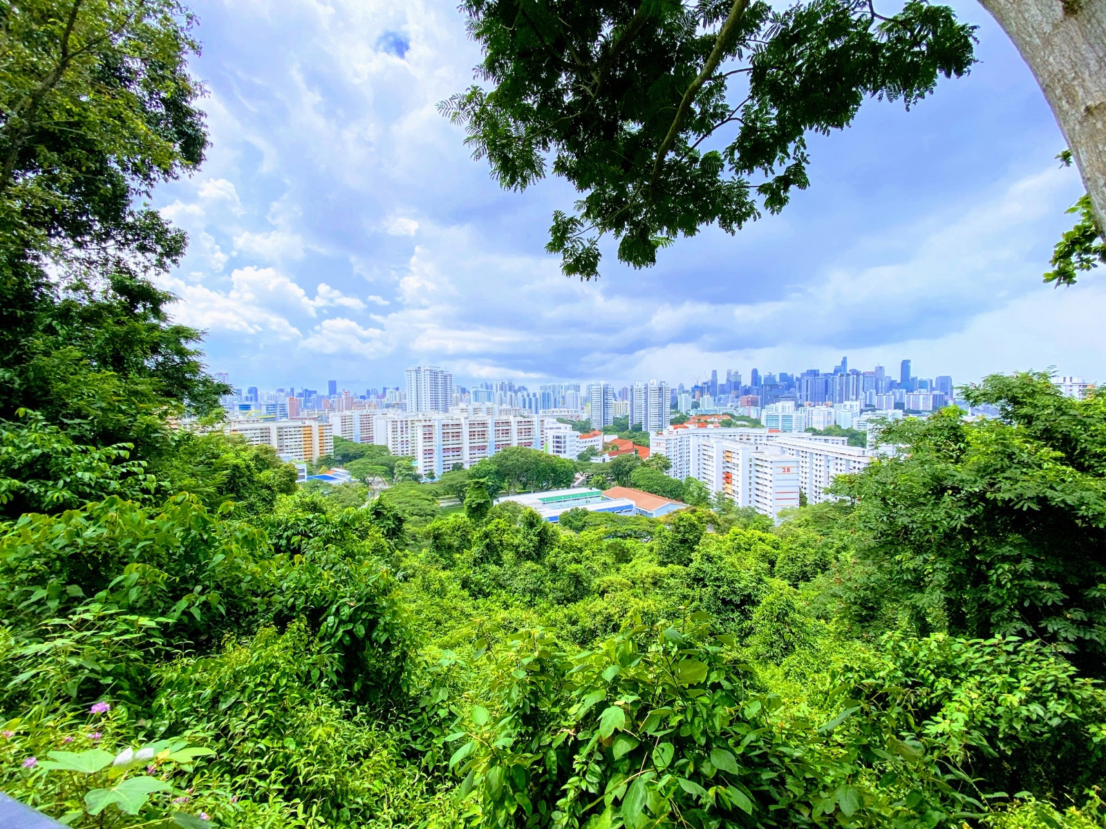 HDB blocks in Singapore